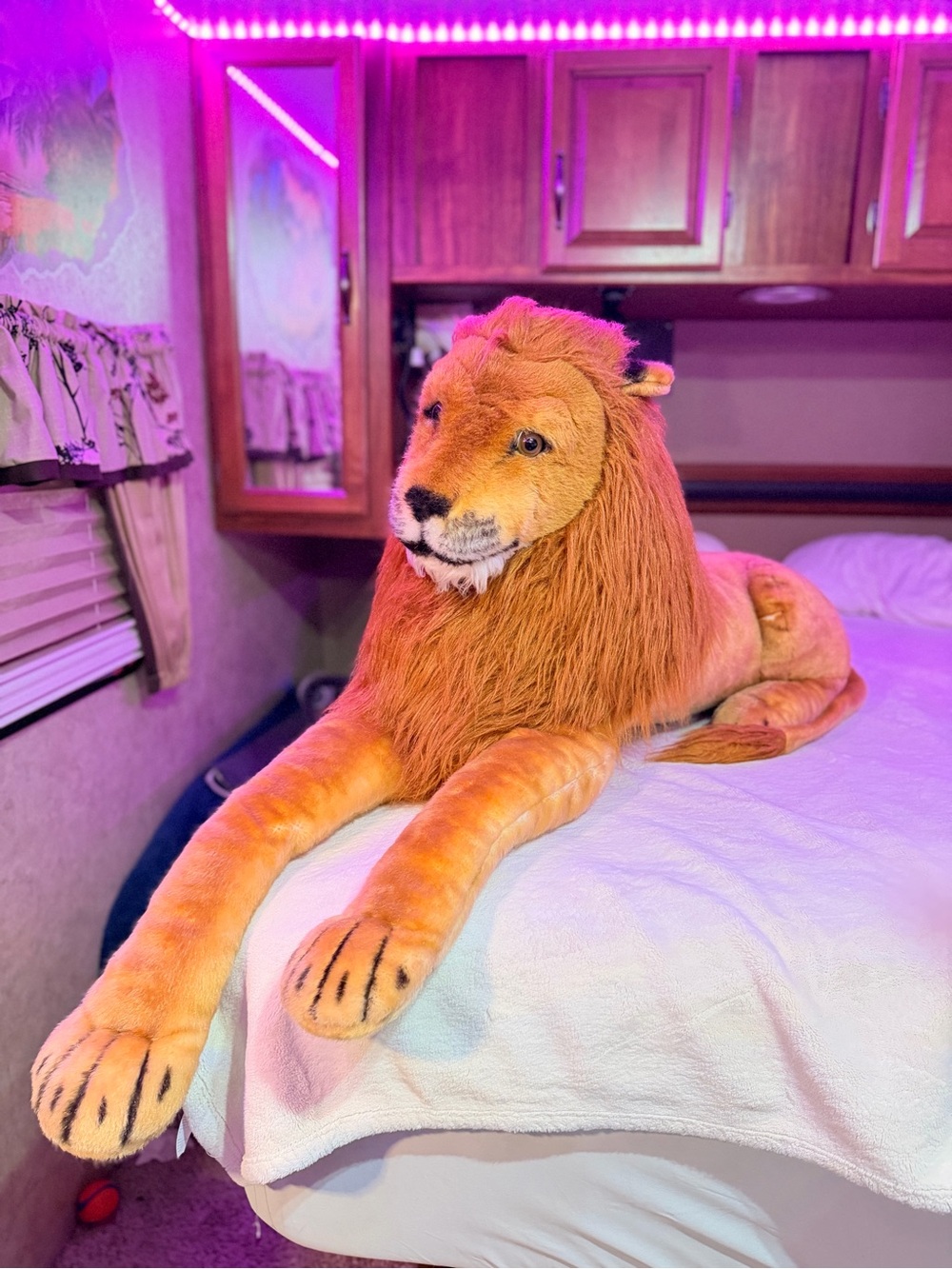 Melissa & Doug Plush Lion Toy - Brown and Cream Mane human size 4ft. - Picture 15 of 16